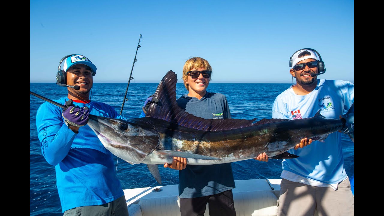Stripe Marlin In Cabo