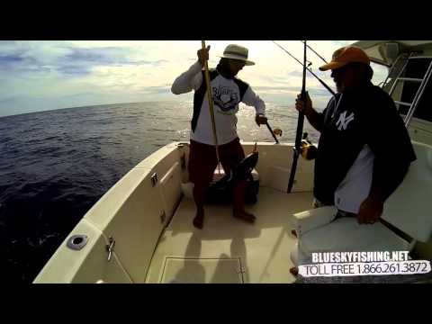 Cabo Fishing in Cabo