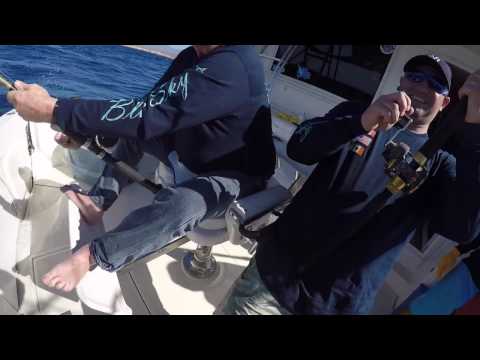 Blue sky cabo marlin release