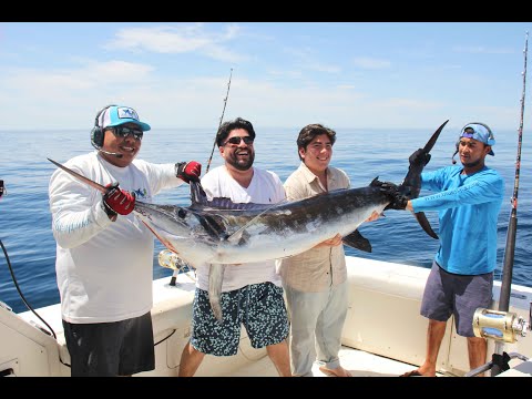 Blue Sea boat fishing stripe marlin