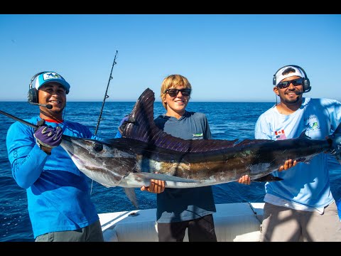 Stripe Marlin In Cabo