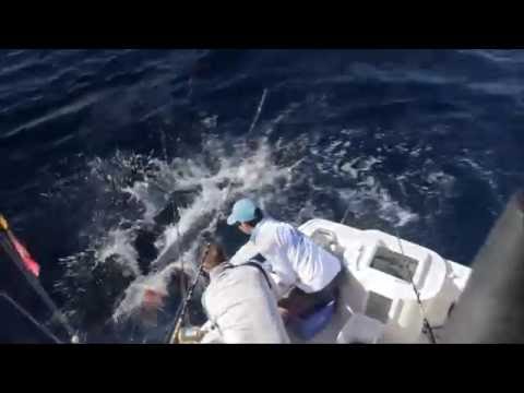 blue sky cabo fishing video