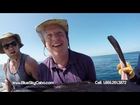 Cabo Fishing Boat