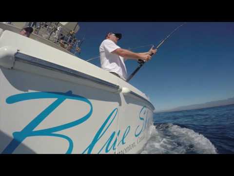 blue sky cabo Double marlin released