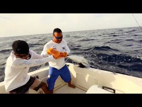 Cabo Fishing Charter