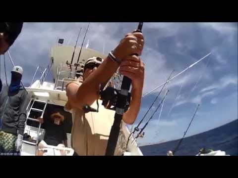Blue Sky Cabo marlin release.