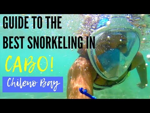 Chileno Bay, Best Snorkeling in Cabo!  Do This If Traveling To Cabo San Lucas!