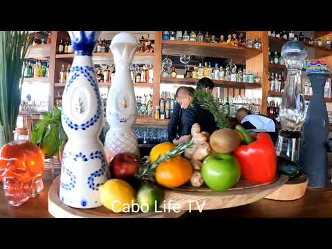 Rosa Negra, Los Cabos.