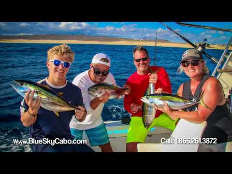 Cabo Sport Fishing