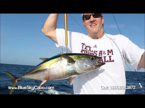 Cabo Tuna Fishing