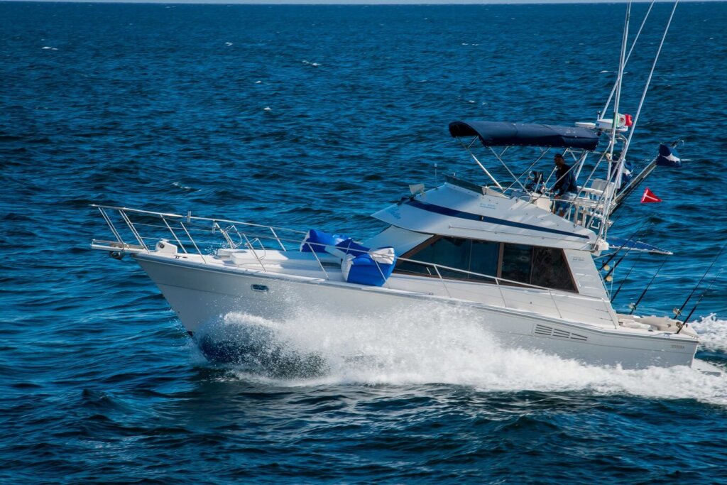 Cabo Fishing Charter
