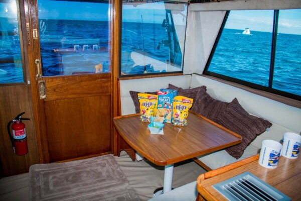 Blue Water – 35 Foot Riviera