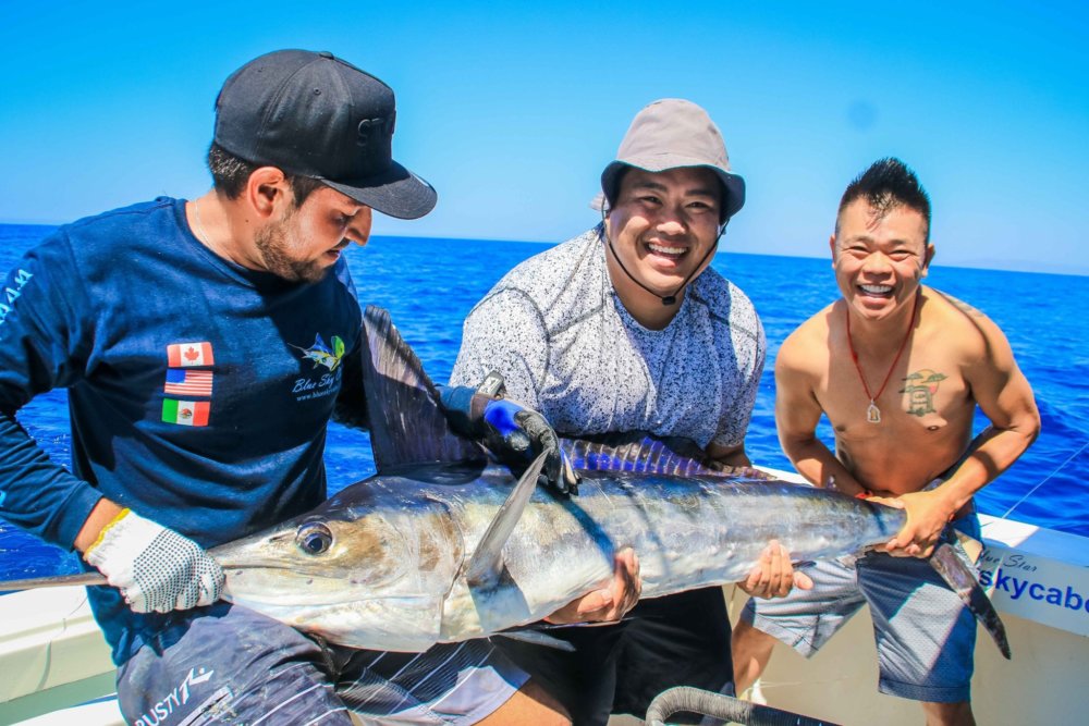 cabo san lucas fishing report