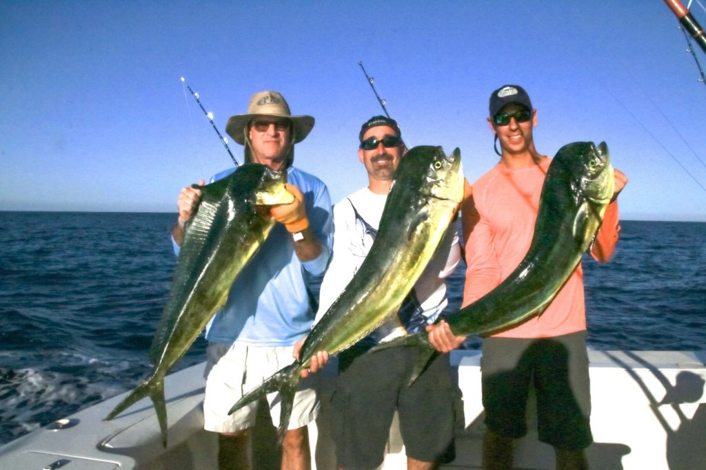 Cabo San Lucas Fishing