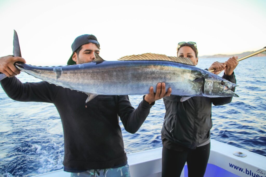 Cabo Fishing Report
