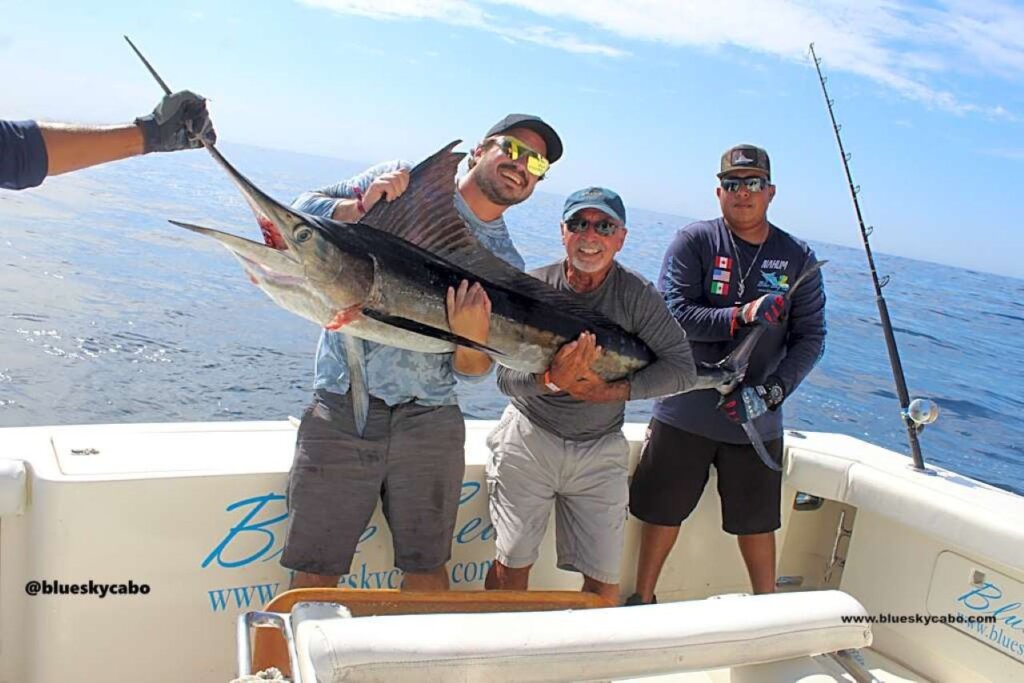 Cabo Fishing Report