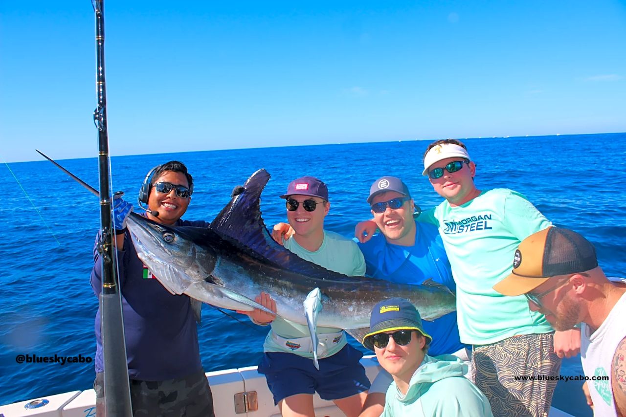 Cabo San Lucas Fishing Reports