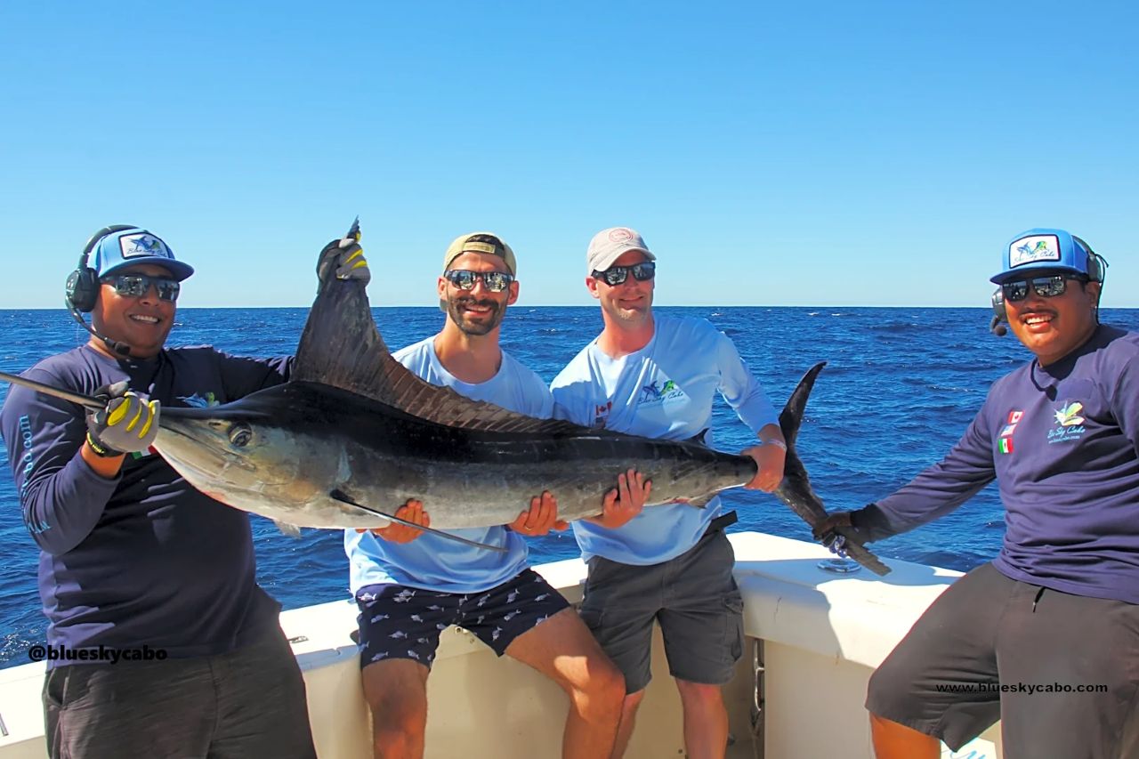 Cabo San Lucas Fishing Report