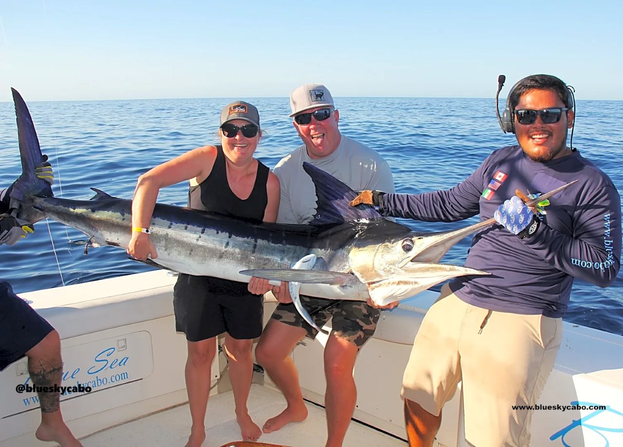 Cabo San Lucas Fishing Reports