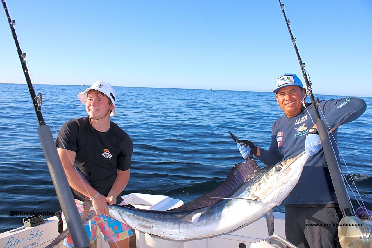 Cabo San Lucas Fishing Report