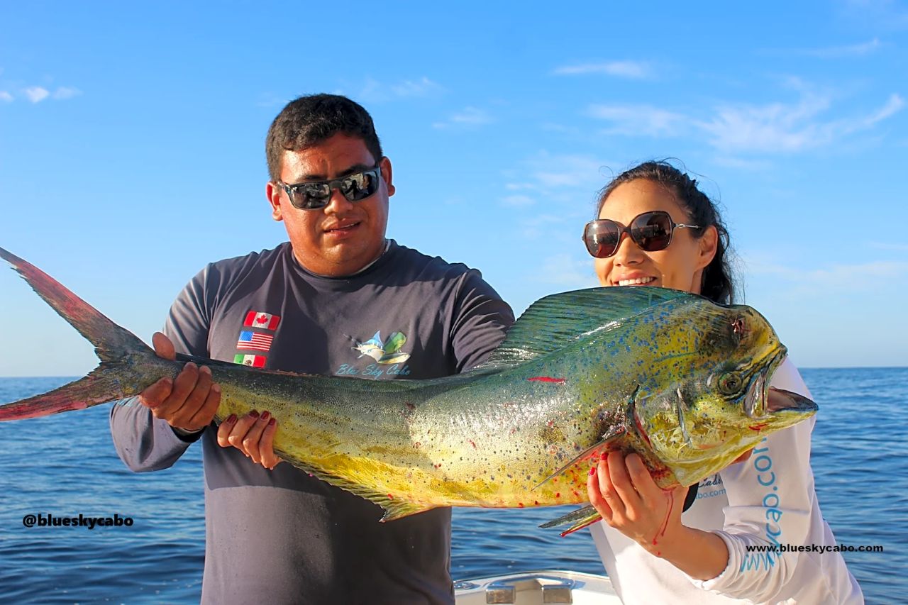 Cabo San Lucas Fishing Report