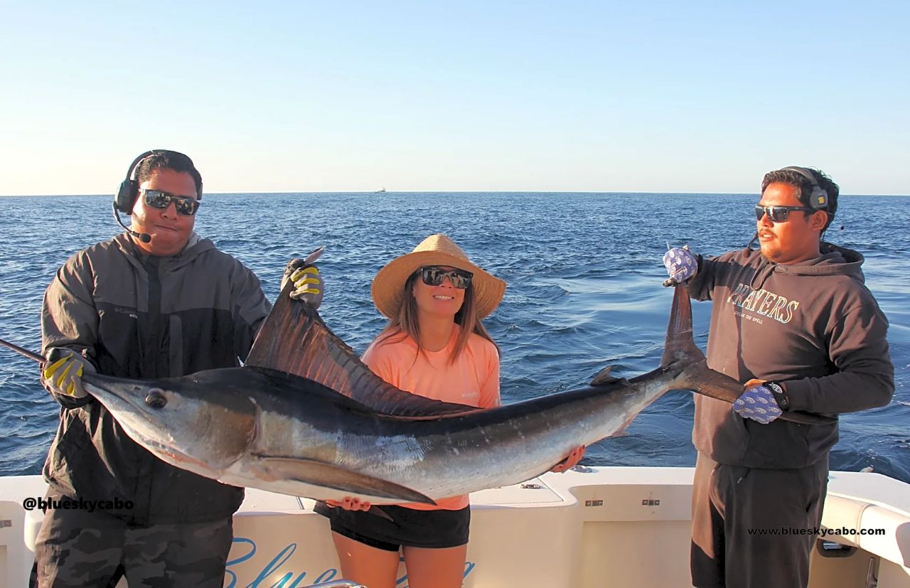 Cabo San Lucas Fishing Report