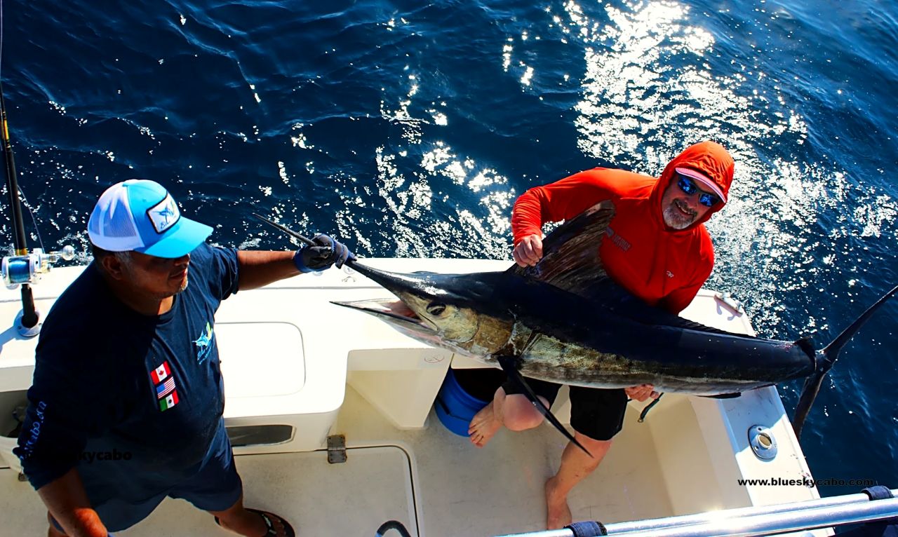 Cabo San Lucas Fishing Report