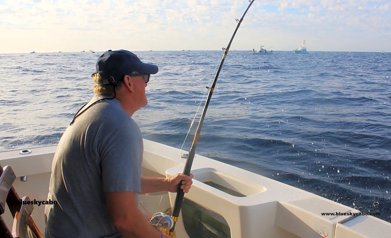 Cabo San Lucas Fishing Report