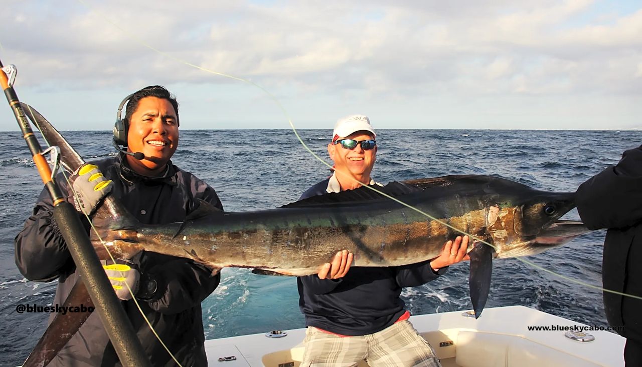 Cabo San Lucas Fishing Report
