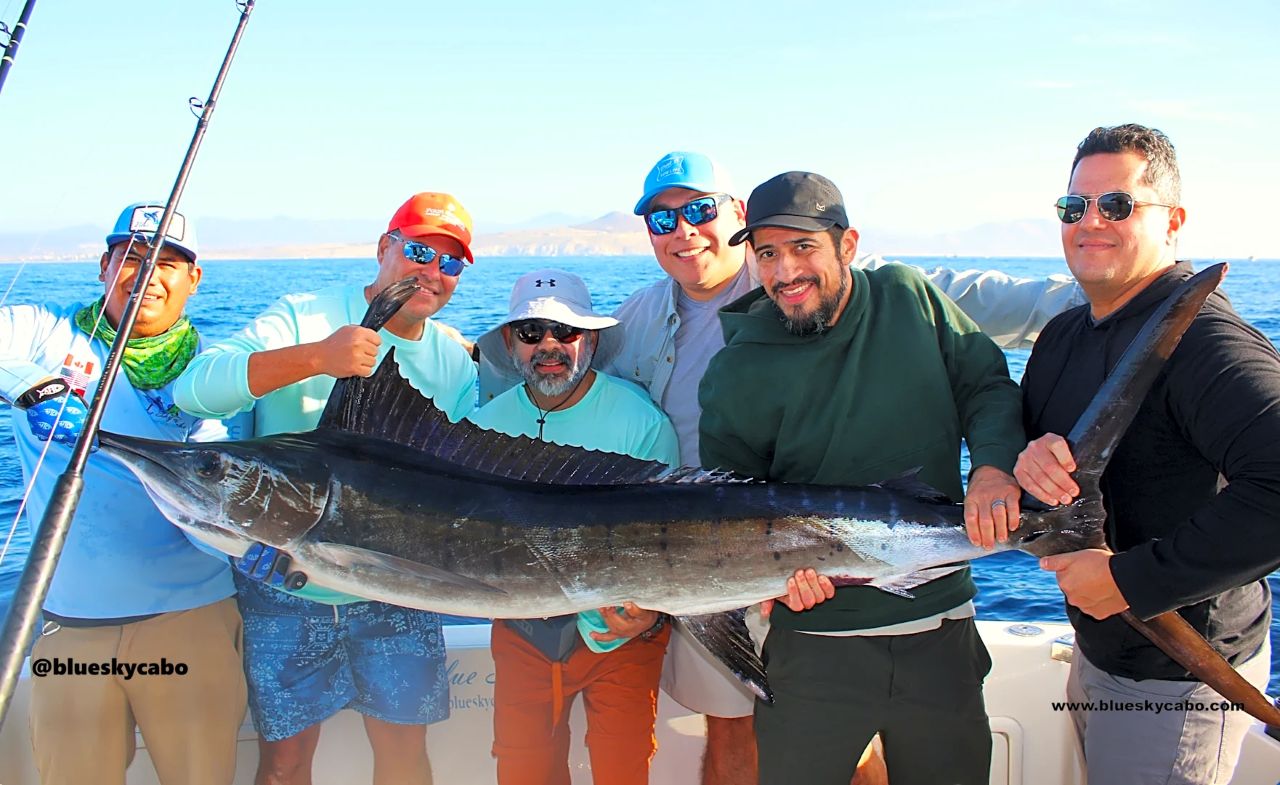 Cabo San Lucas Fishing Report