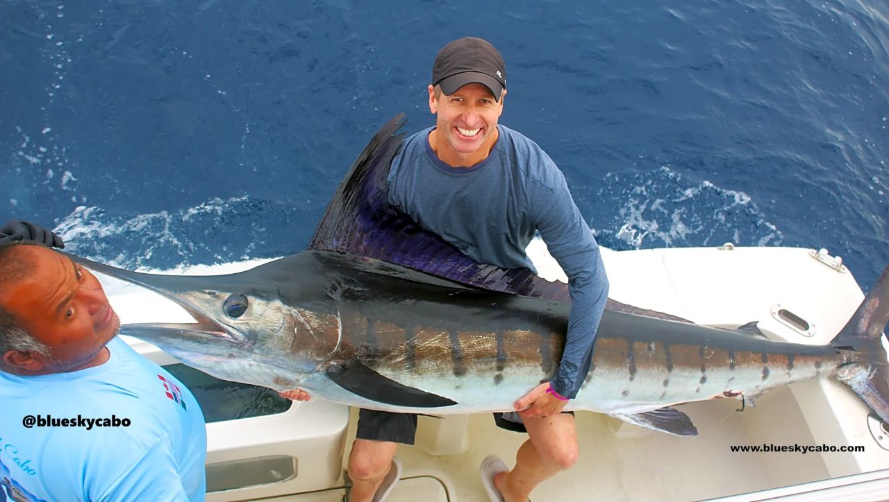 Cabo San Lucas Fishing Report
