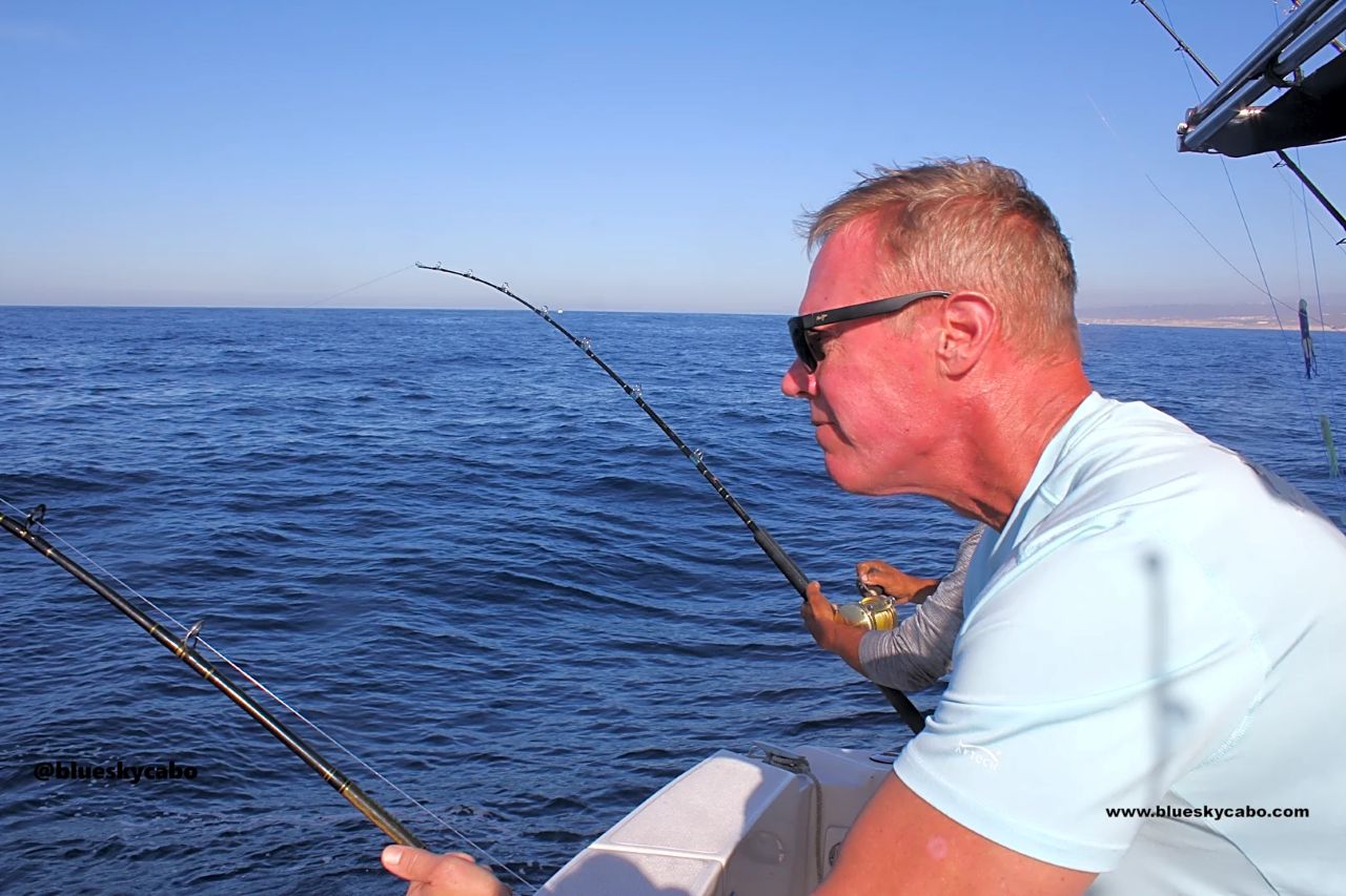 Cabo San Lucas Fishing Report
