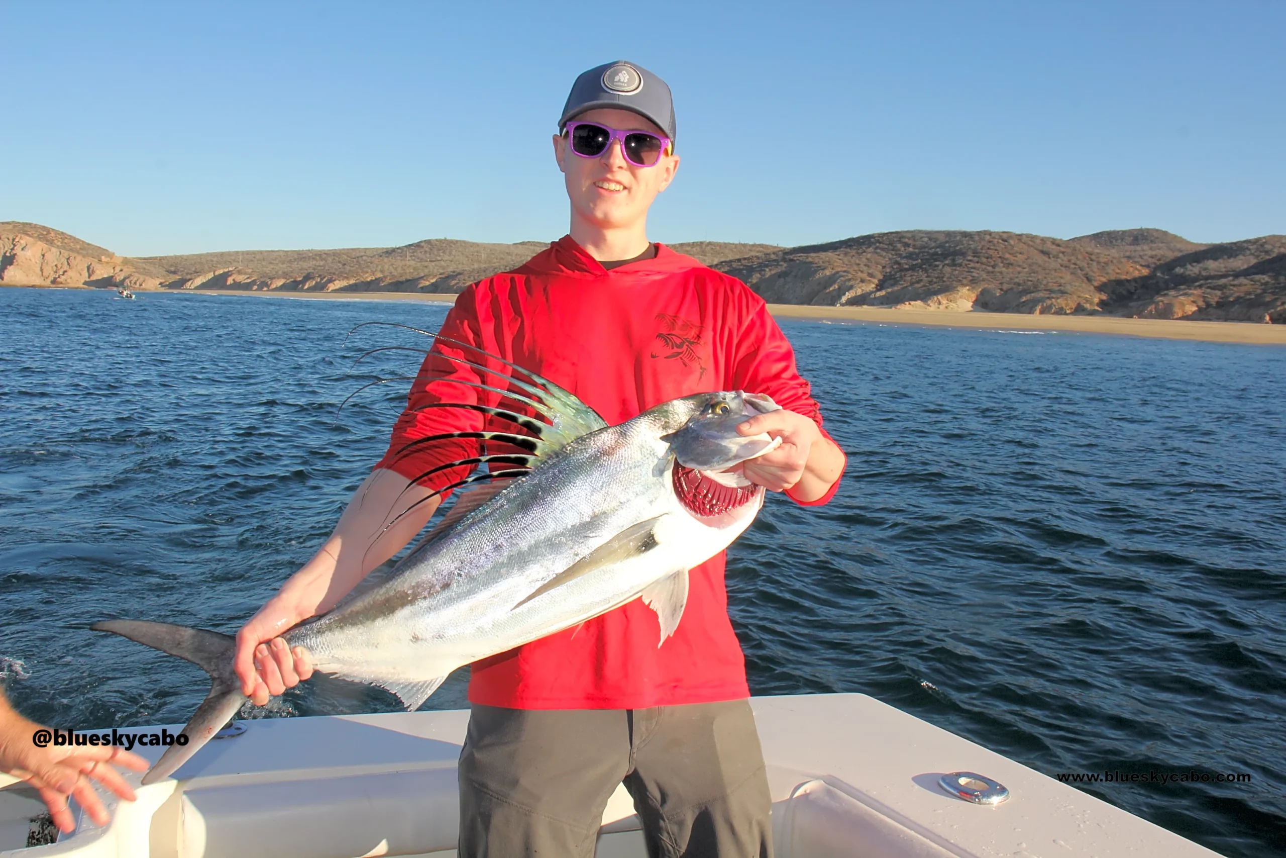 Cabo San Lucas Fishing Report