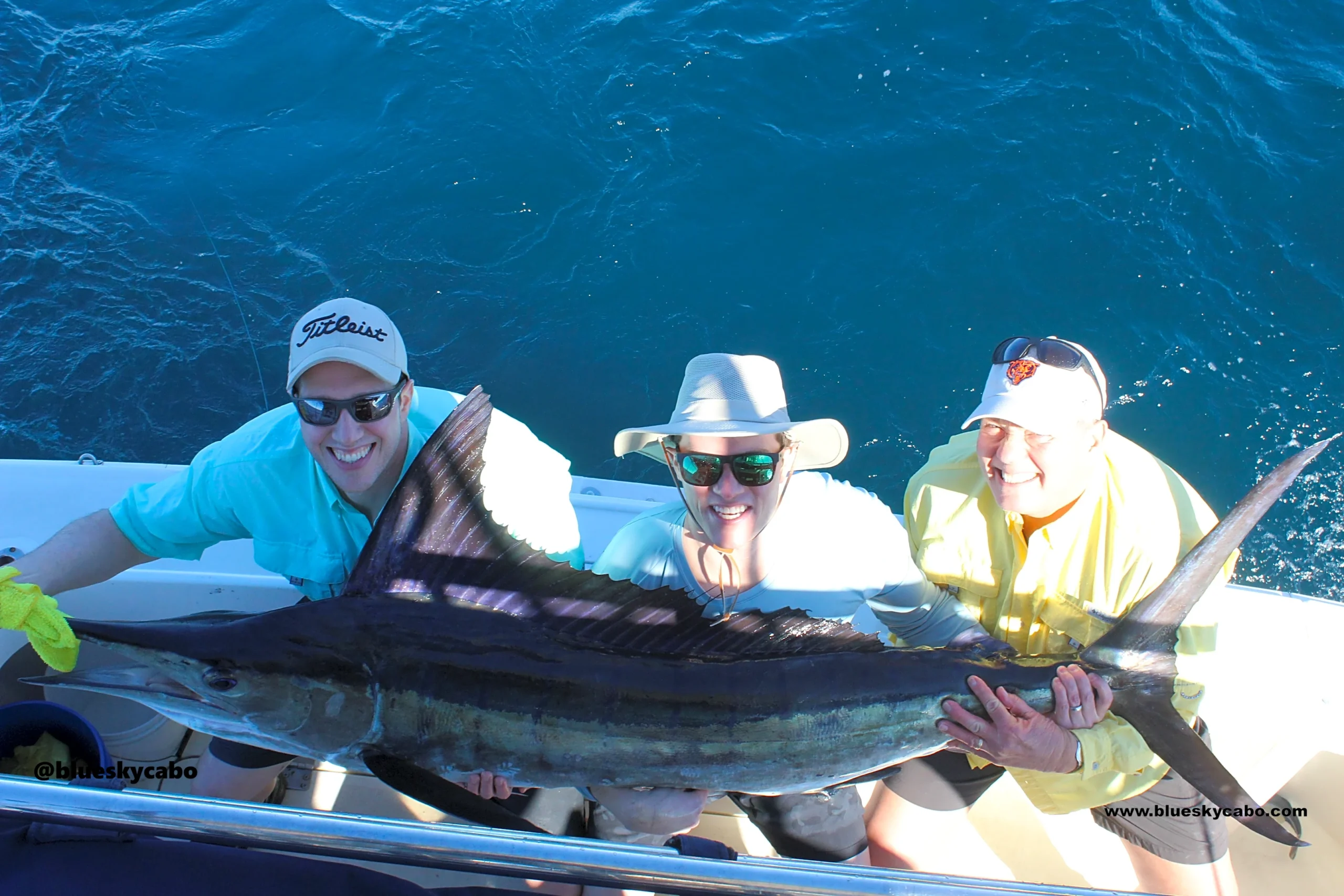 Cabo San Lucas Fishing Report