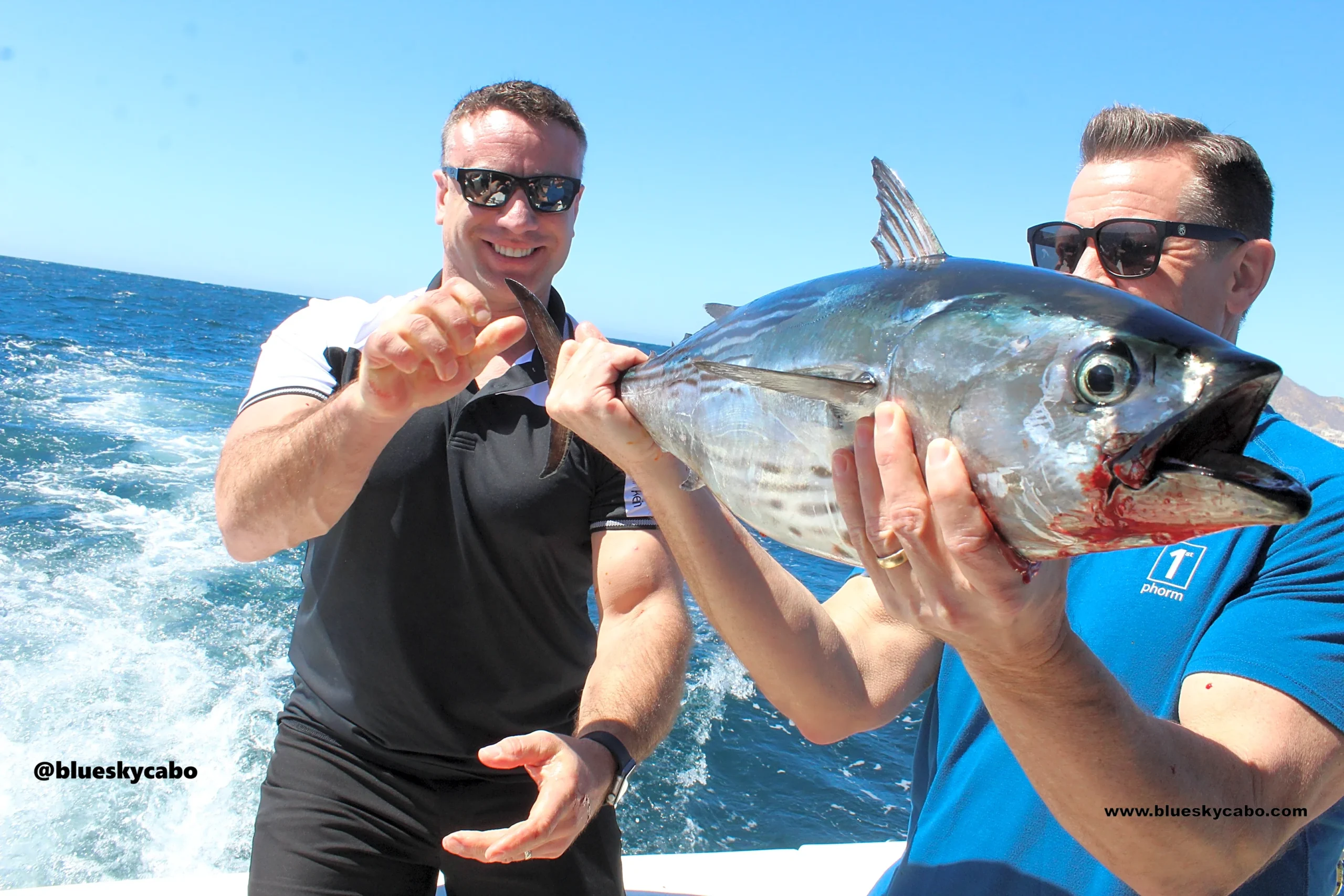 Cabo San Lucas Fishing Report
