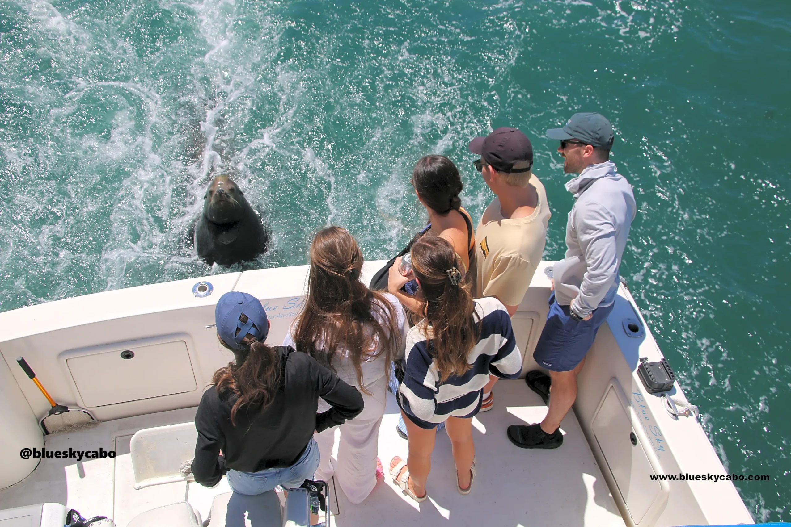 Cabo San Lucas Fishing Report