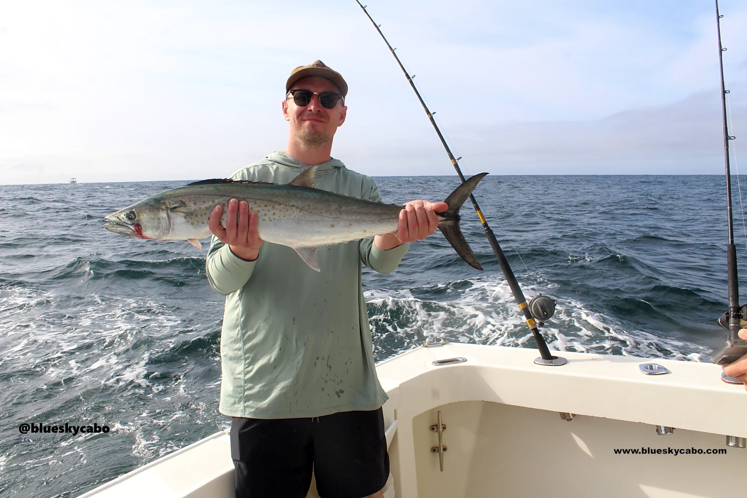 Cabo San Lucas Fishing Report