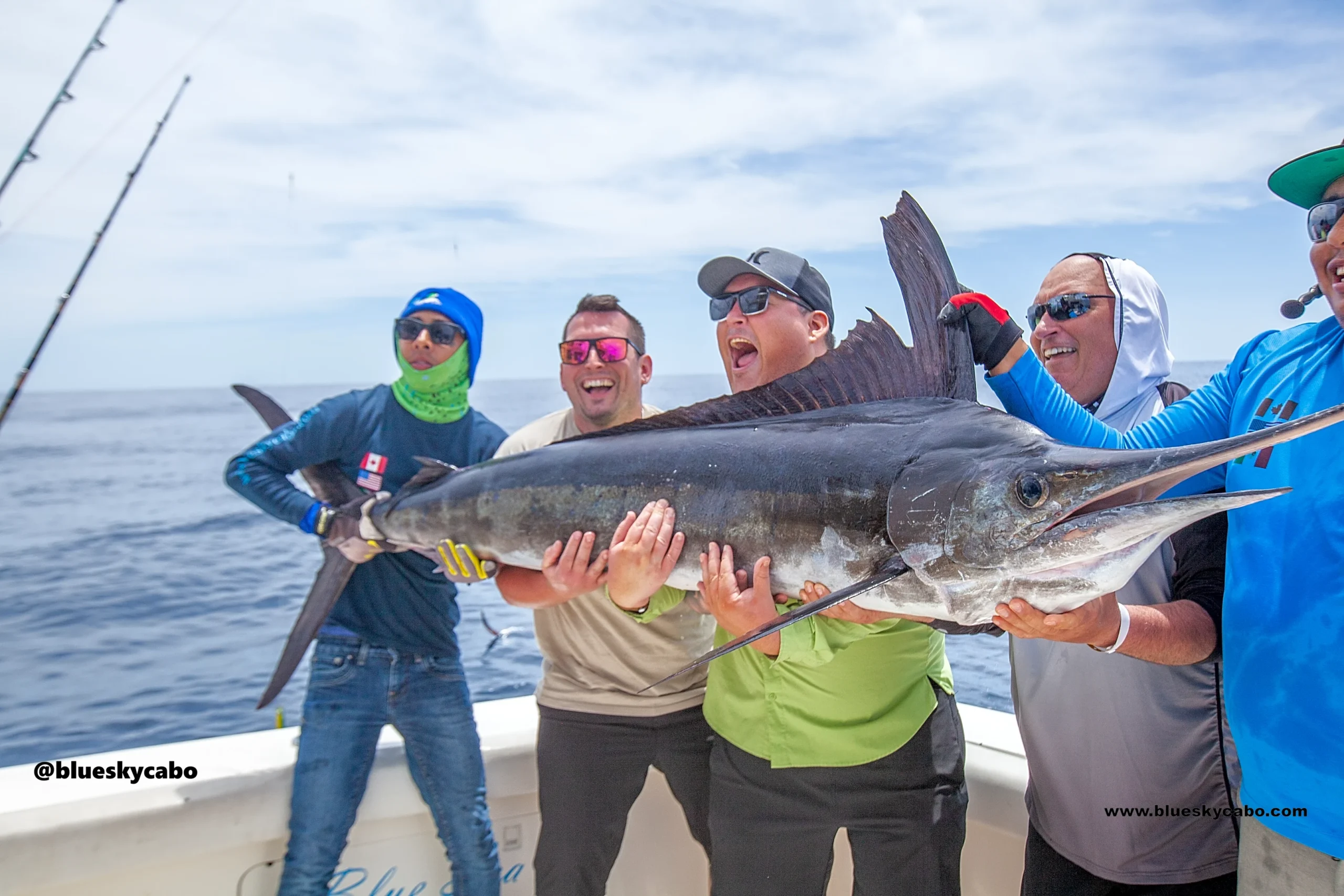 Cabo San Lucas Fishing Report