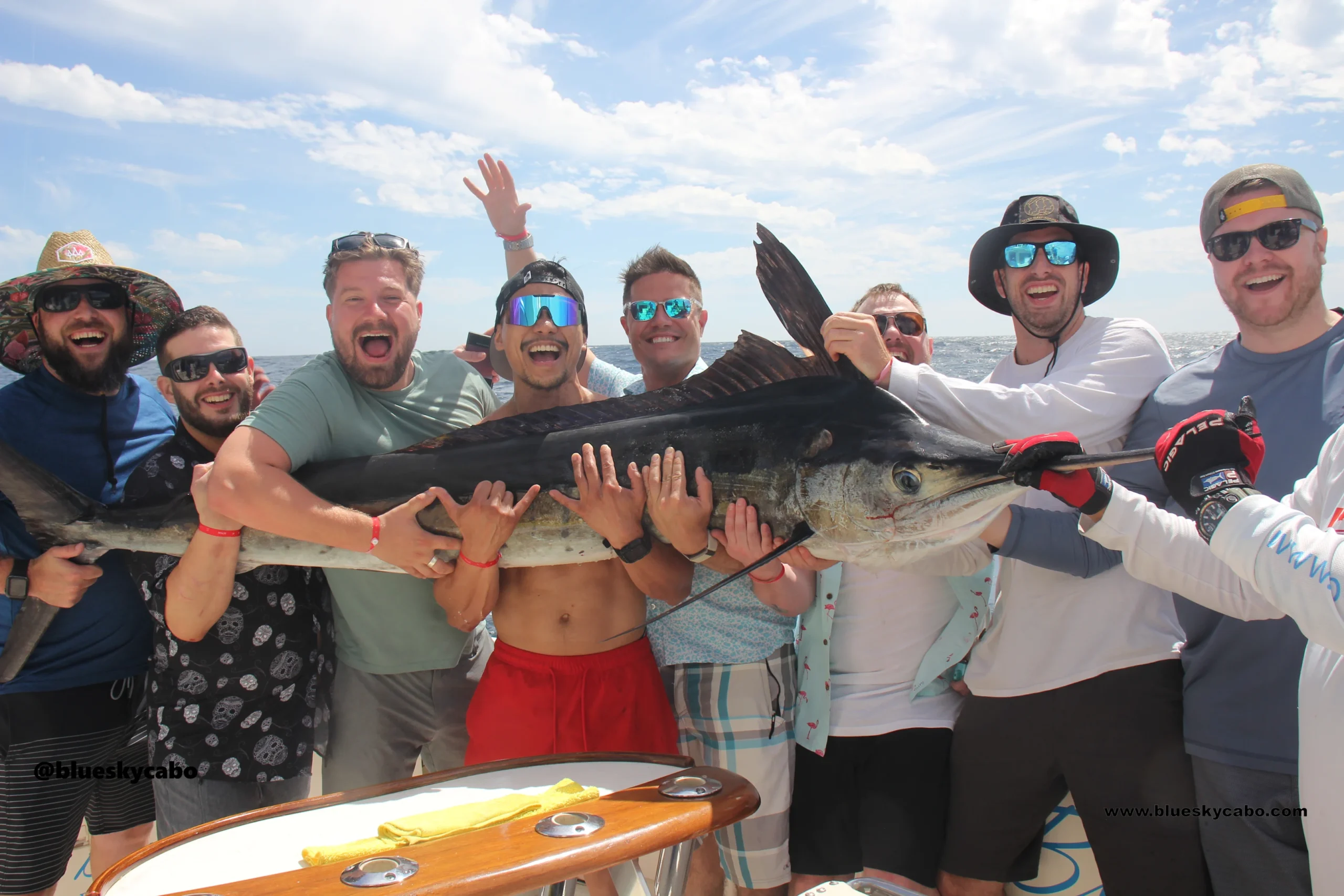 Cabo San Lucas Fishing Report