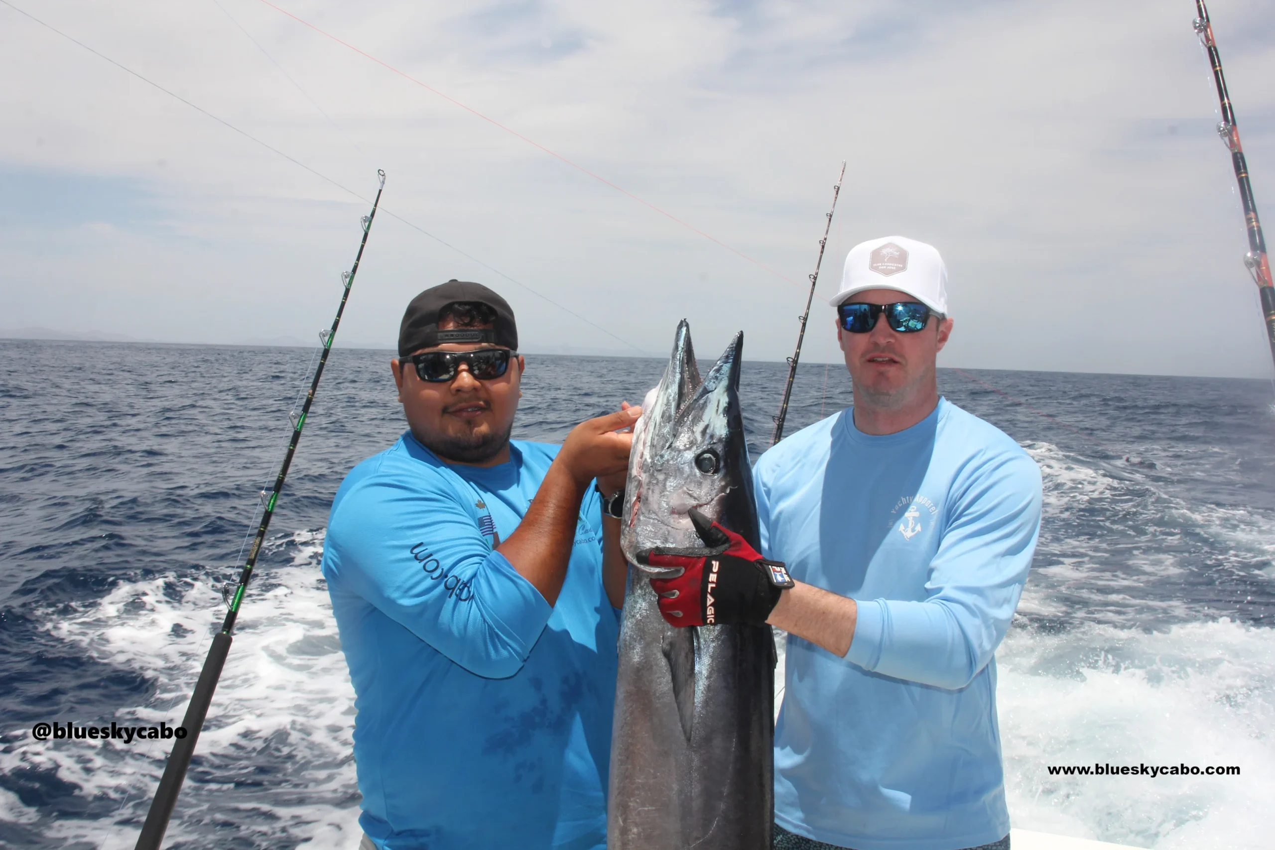 Cabo San Lucas Fishing Report