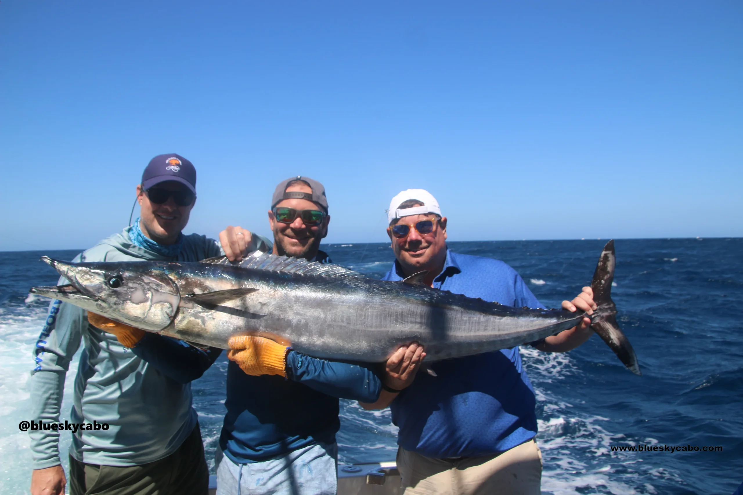 Cabo San Lucas Fishing Report
