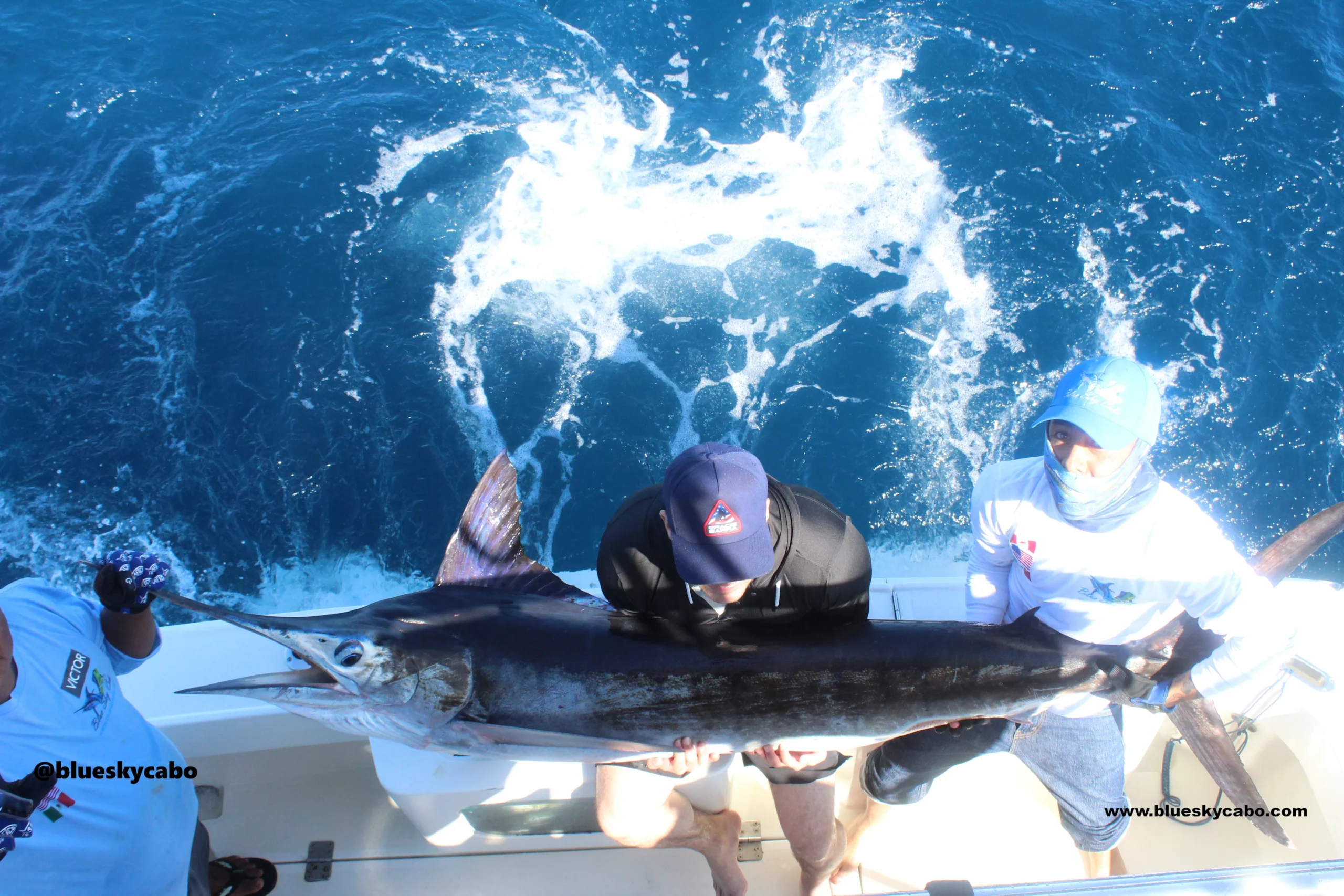 Cabo San Lucas Fishing Report
