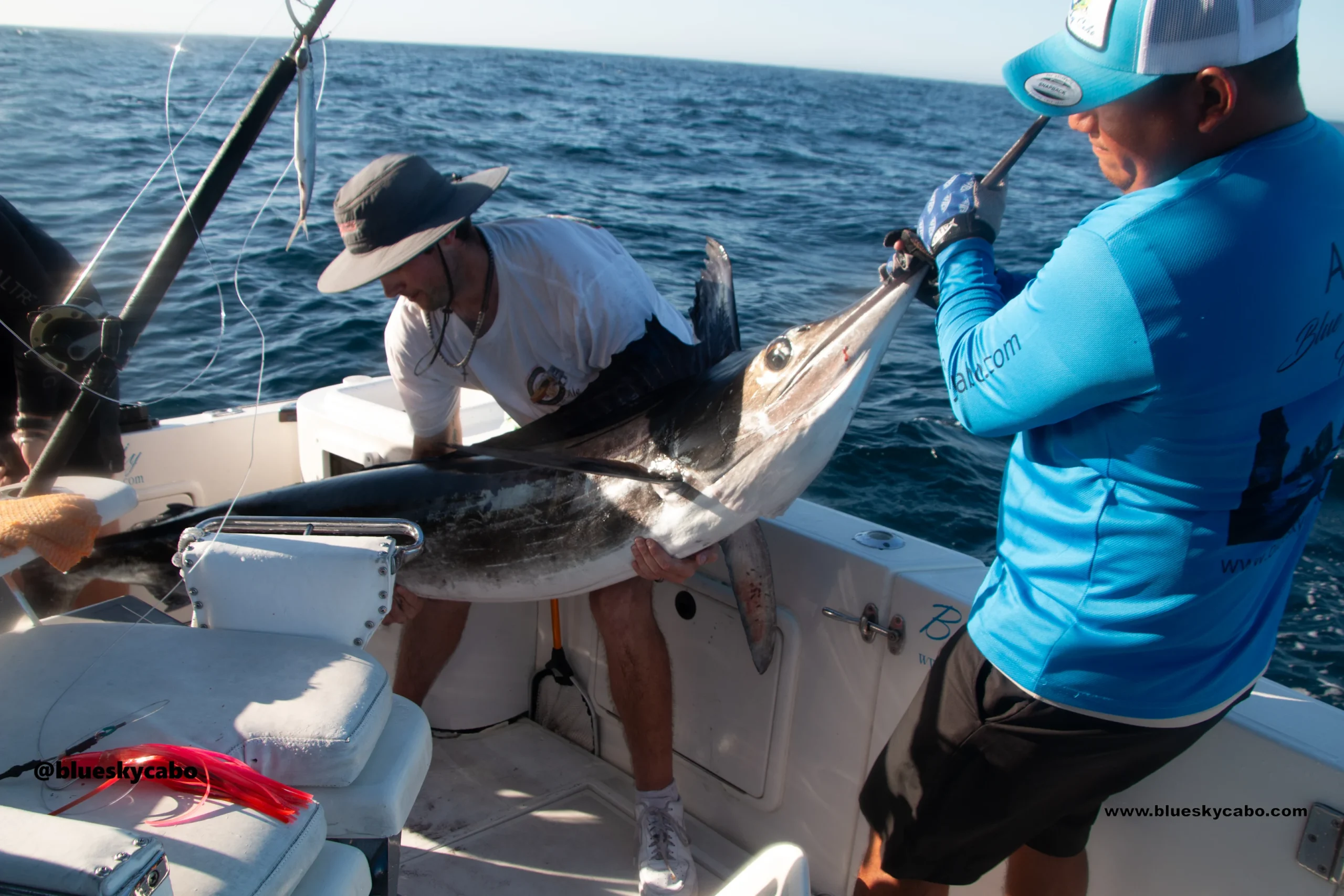 Cabo San Lucas Fishing Report
