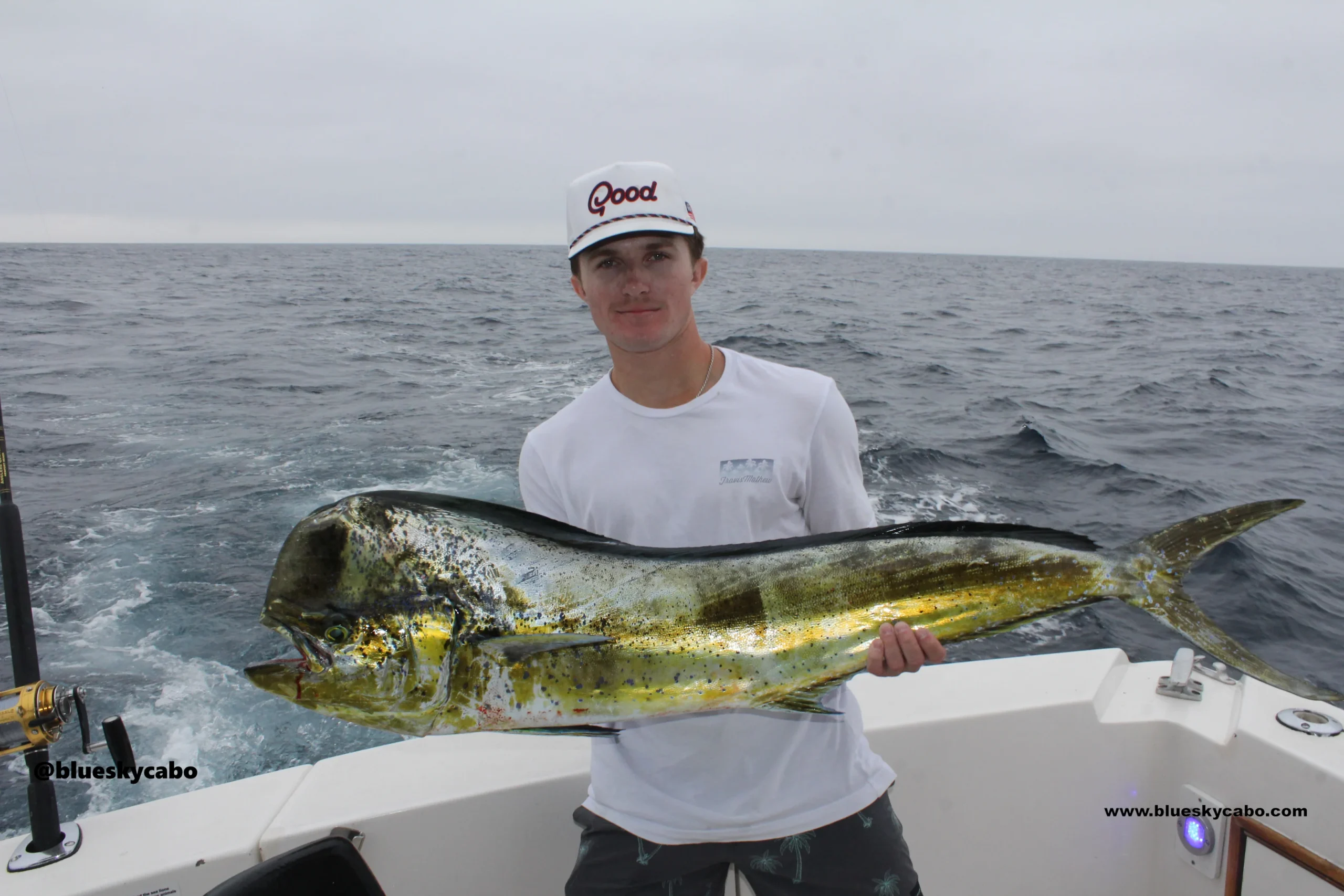 Cabo San Lucas Fishing Report