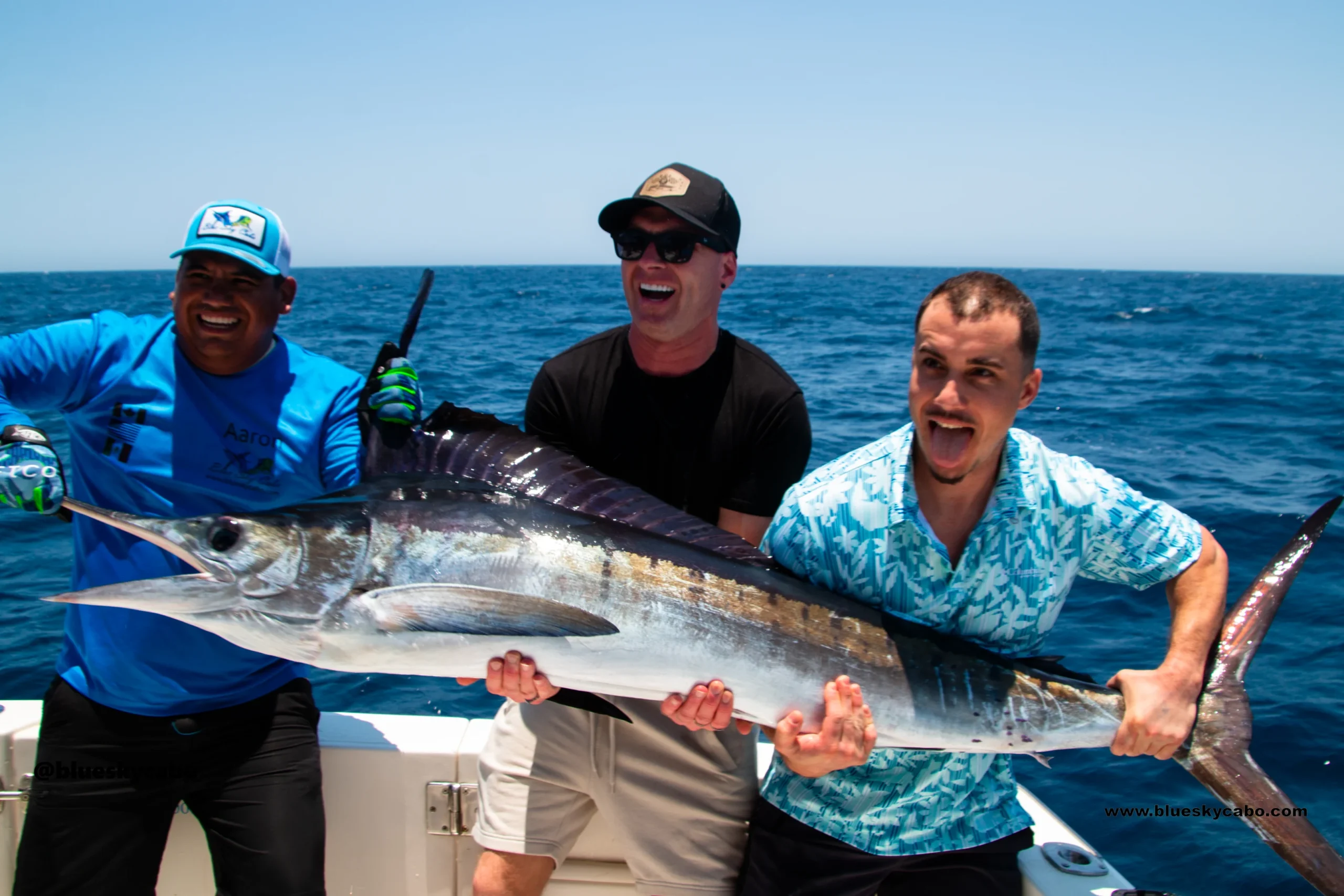 Cabo San Lucas Fishing Report