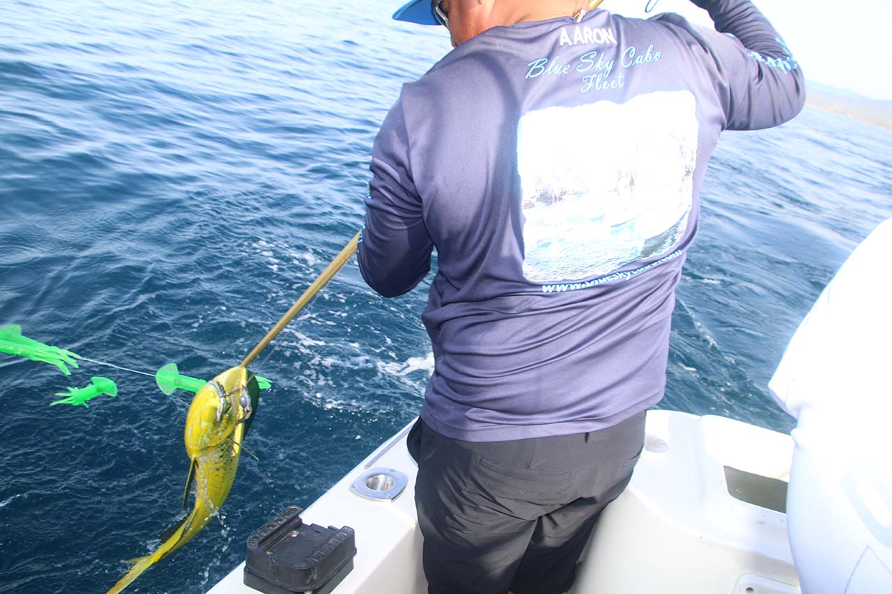 Best Fishing Trips in Cabo in September
