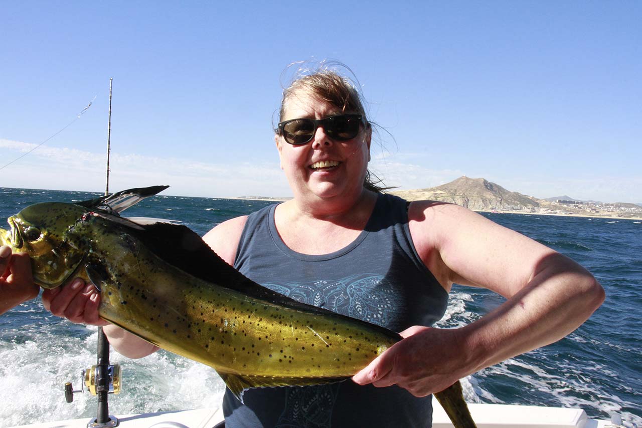 Best Time to Catch Dorado in Cabo San Lucas