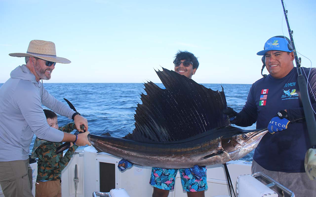 Cabo Billfish Fishing August