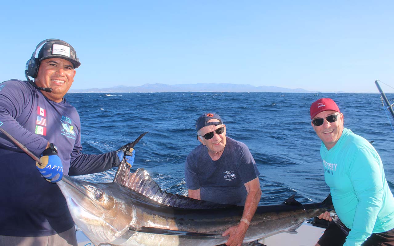 Cabo Fishing Report August