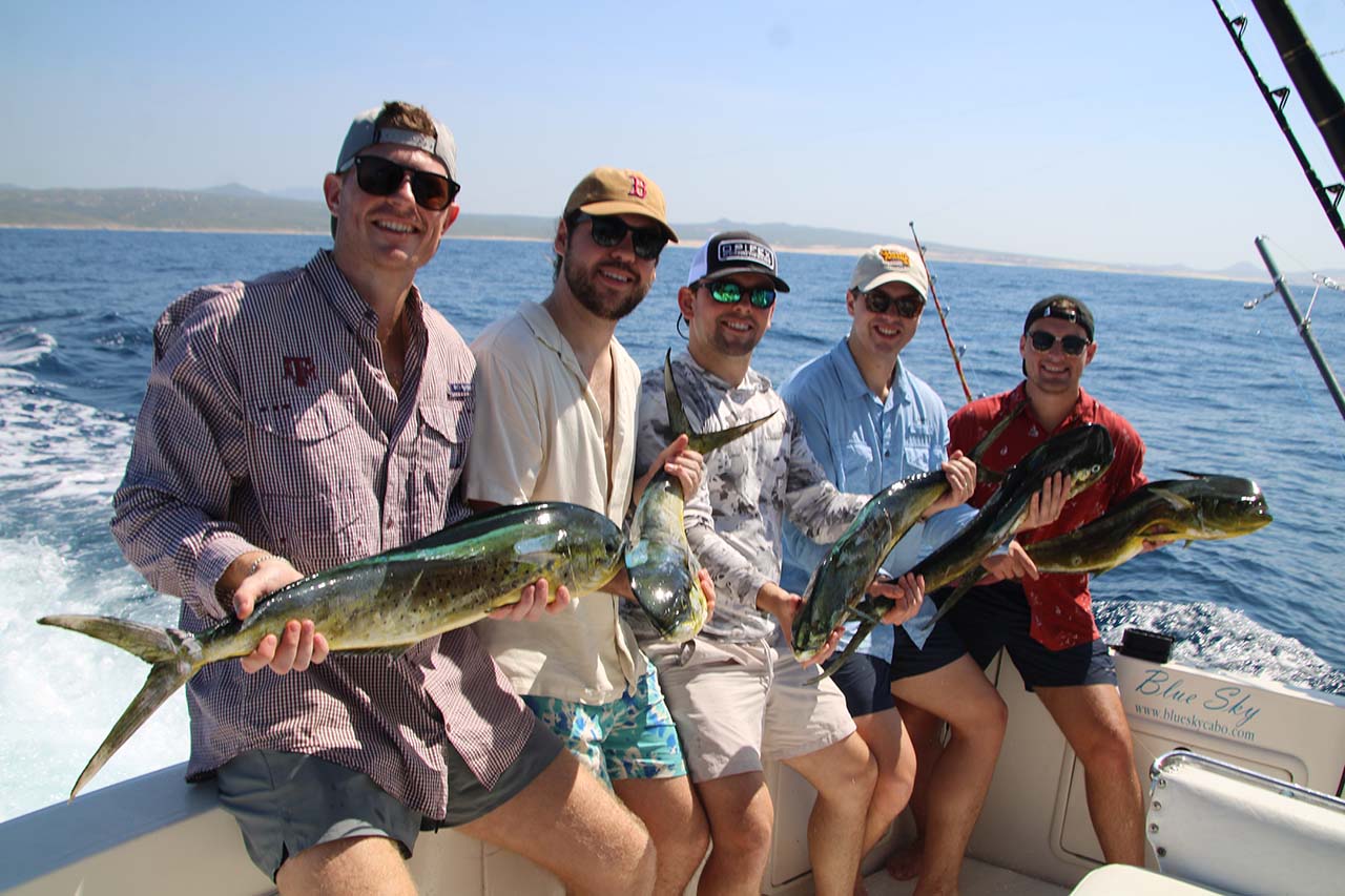 Cabo Fishing Report September
